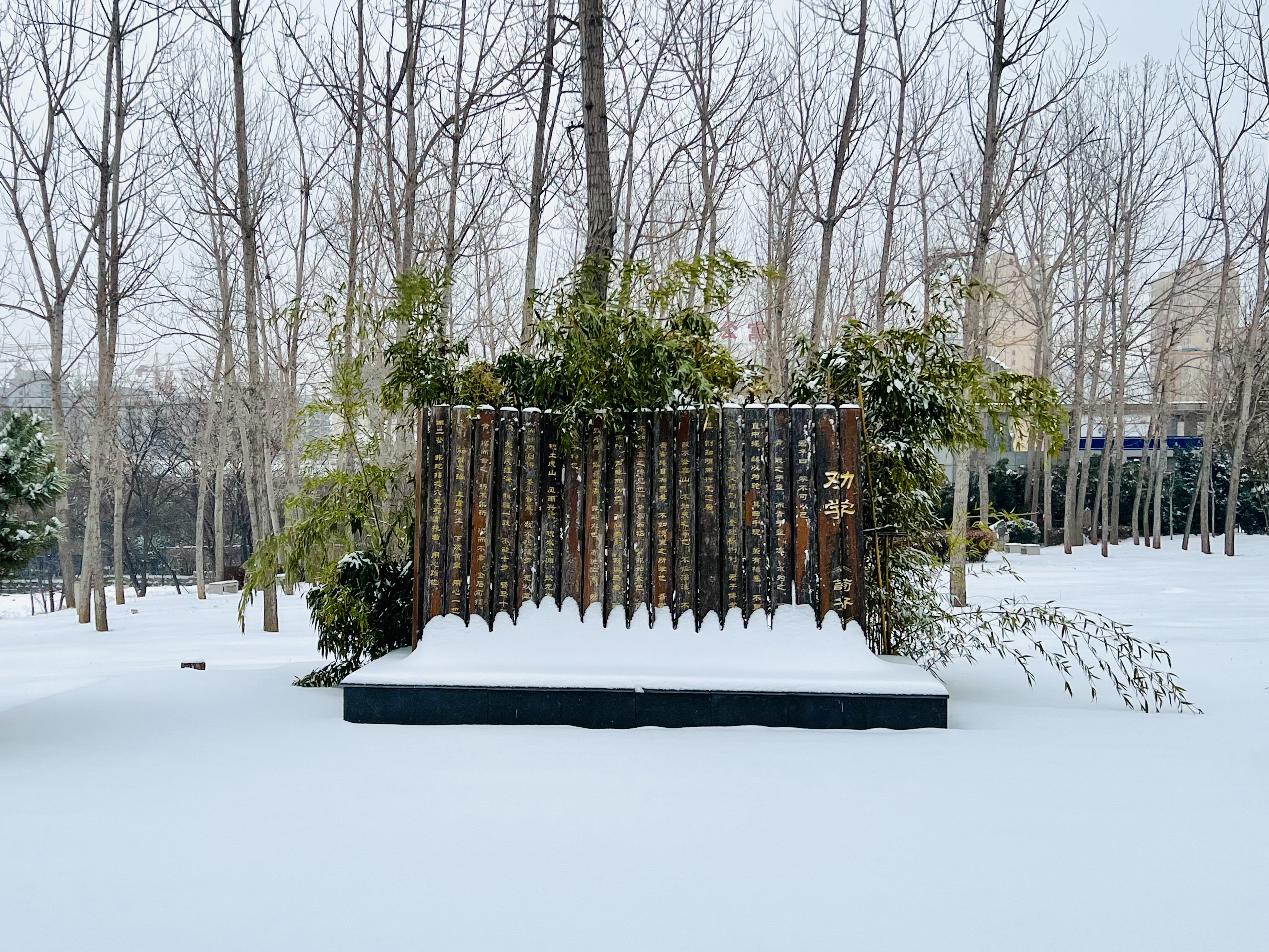 勸學(xué)園雪景